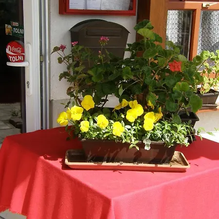 Himer Termal Panzio *